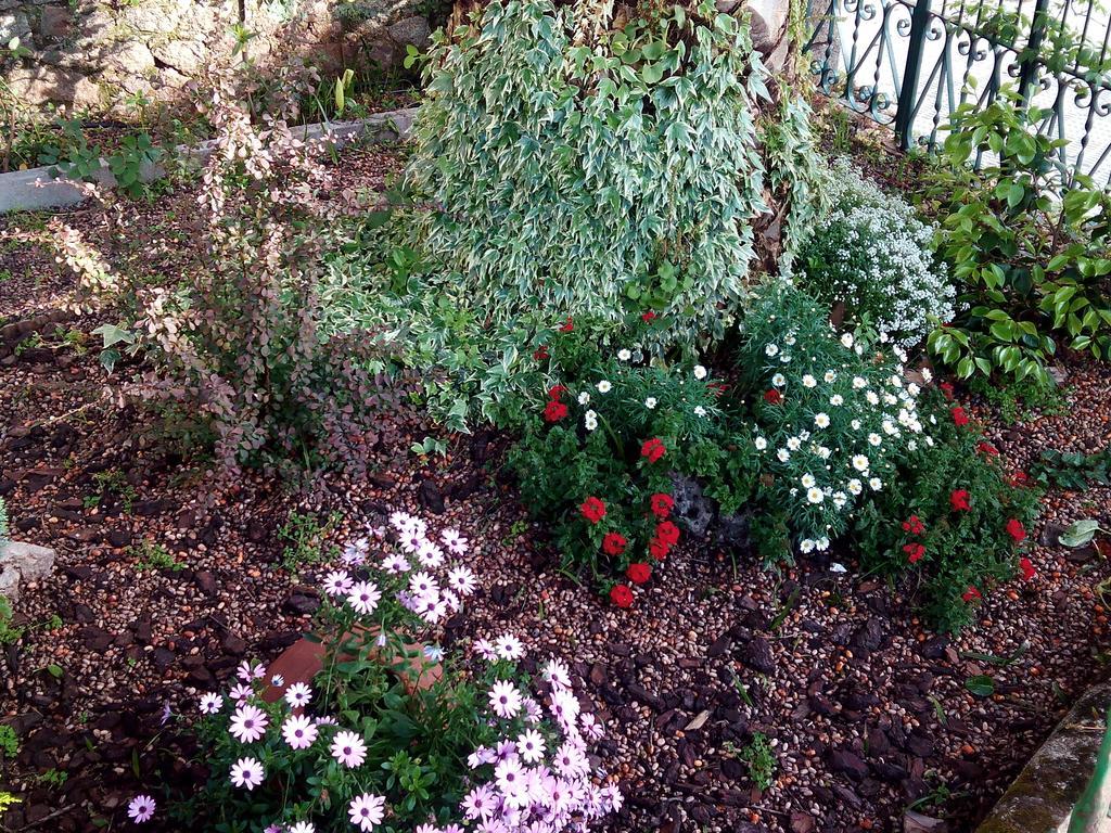 شقة Casa Jardin De La Plata بانيوس دي مونتيمايور المظهر الخارجي الصورة