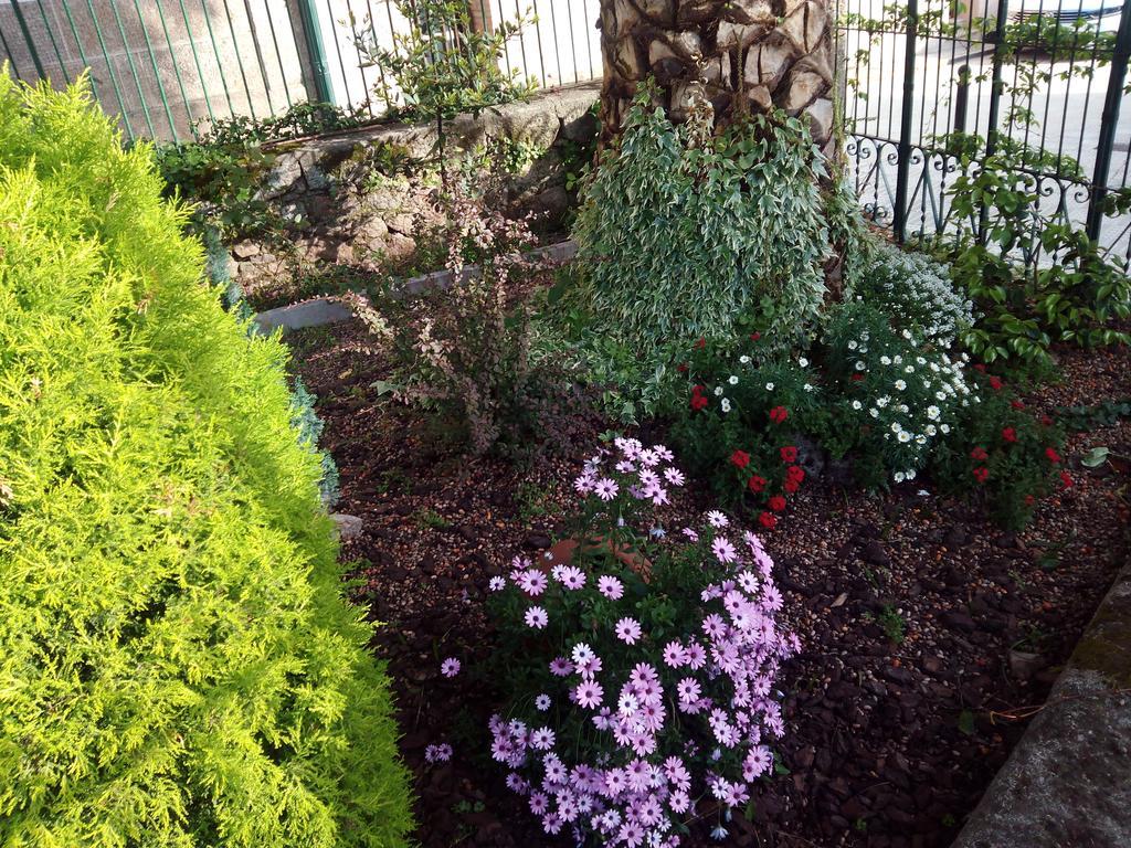 شقة Casa Jardin De La Plata بانيوس دي مونتيمايور المظهر الخارجي الصورة
