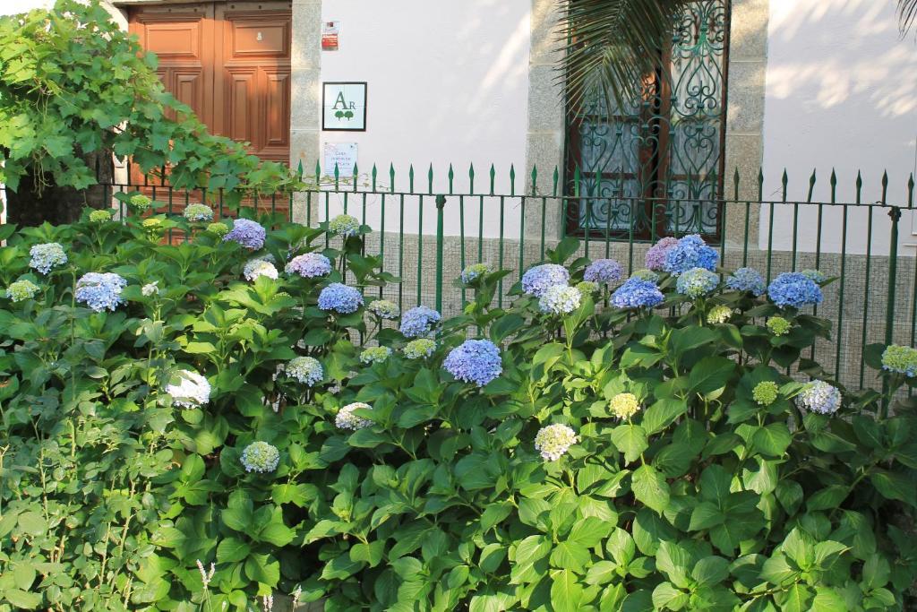 شقة Casa Jardin De La Plata بانيوس دي مونتيمايور المظهر الخارجي الصورة